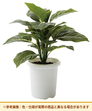 コクヨ アクセサリー 人工植物 エバーグリーン AEG-EG01-1