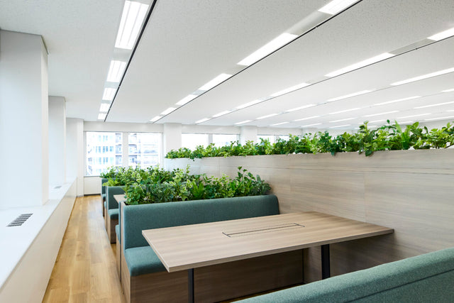 植栽のある木目の仕切りと緑のソファ、テーブルを組み合わせたブース席