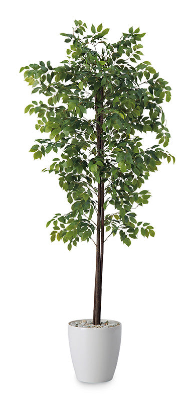 コクヨ アクセサリー 人工植物 アオダモ H1800 AEG-AD01-1
