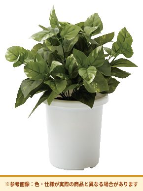コクヨ アクセサリー 人工植物 ポトス AEG-PT01-2