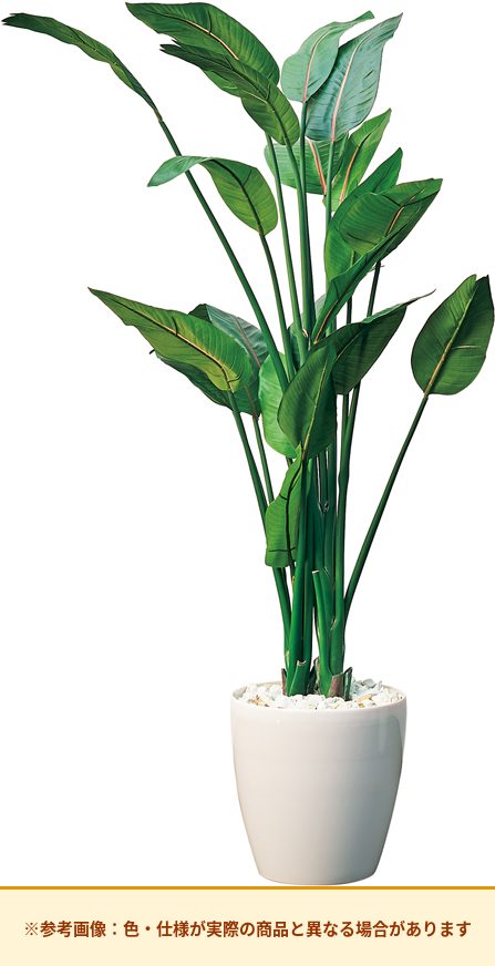コクヨ アクセサリー 人工植物 ストレチア AEG-ST01-1