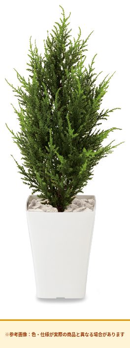 コクヨ アクセサリー 人工植物 ゴールドクレストH550 PX-GKR550N