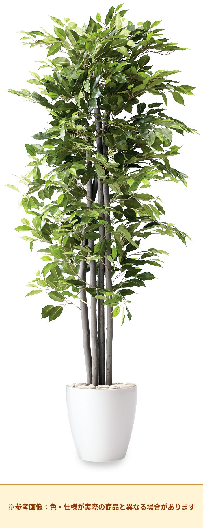 コクヨ アクセサリー 人工植物 ベンジャミン H1800 AEG-BJ01-2